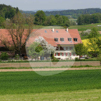 Hulmenhof Islandpferdehof - Pferdestall - Winterthur